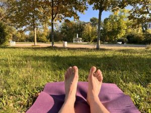 Mittel (71751633438__29D3F4D1-29C0-4371-BE6E-03185E1B1080)